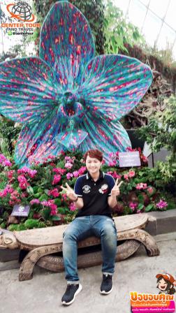 ทัวร์สิงคโปร์ 