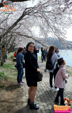 ทัวร์ญี่ปุ่น 