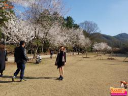 ทัวร์เกาหลี 