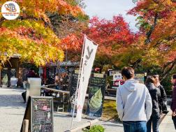 ทัวร์ญี่ปุ่น 