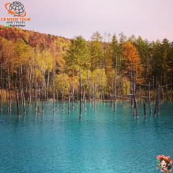 ทัวร์ญี่ปุ่น 