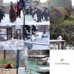 ทัวร์ญี่ปุ่น 