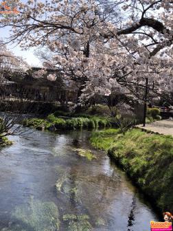 ทัวร์ญี่ปุ่น 