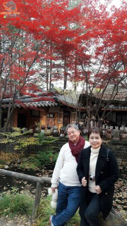 ทัวร์เกาหลี 