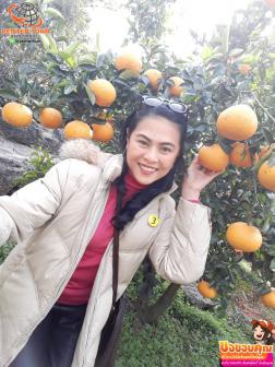 ทัวร์เกาหลี 