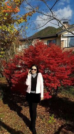 ทัวร์ญี่ปุ่น 