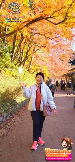 ทัวร์ญี่ปุ่น 