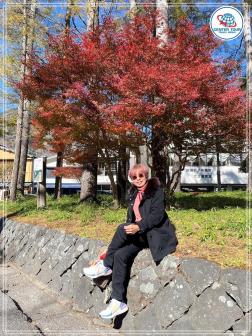 ทัวร์ญี่ปุ่น 