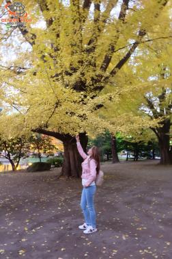 ทัวร์ญี่ปุ่น 