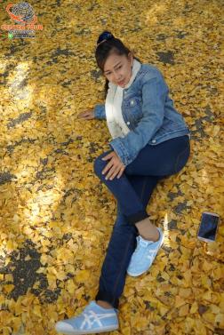 ทัวร์ญี่ปุ่น 