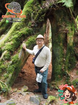 ทัวร์ไต้หวัน 