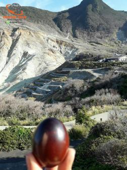 ทัวร์ญี่ปุ่น 