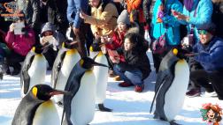 ทัวร์ญี่ปุ่น 