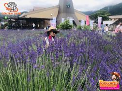 ทัวร์ญี่ปุ่น 