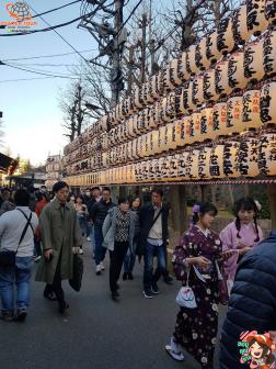 ทัวร์ญี่ปุ่น 