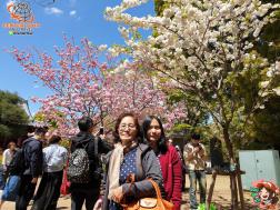 ทัวร์ญี่ปุ่น 