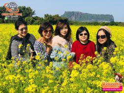 ทัวร์เกาหลี 