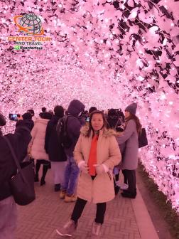 ทัวร์ญี่ปุ่น 