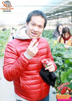 ทัวร์เกาหลี 