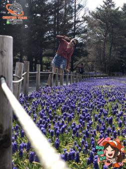 ทัวร์ญี่ปุ่น 