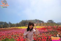 ทัวร์เกาหลี 