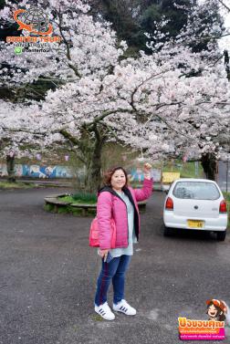 ทัวร์ญี่ปุ่น 