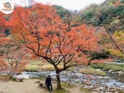 ทัวร์ญี่ปุ่น 