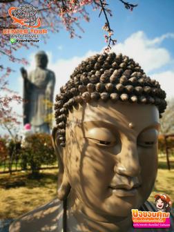 ทัวร์ญี่ปุ่น 