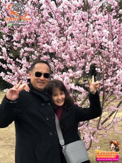 ทัวร์ญี่ปุ่น 