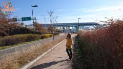 ทัวร์เกาหลี 