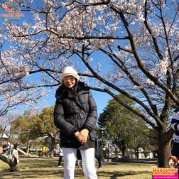 ทัวร์ญี่ปุ่น 