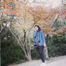 ทัวร์ญี่ปุ่น 