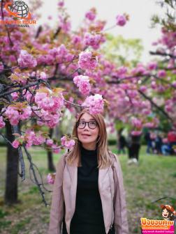 ทัวร์ญี่ปุ่น 