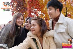 ทัวร์เกาหลี 