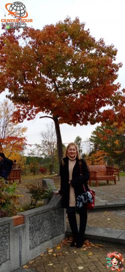 ทัวร์ญี่ปุ่น 