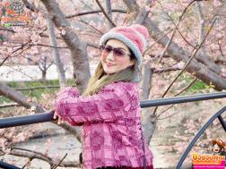 ทัวร์ญี่ปุ่น 