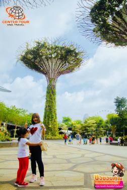 ทัวร์สิงคโปร์ 