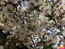 ทัวร์เกาหลี 