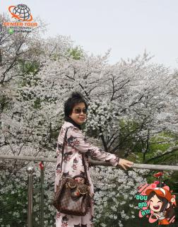 ทัวร์เกาหลี 