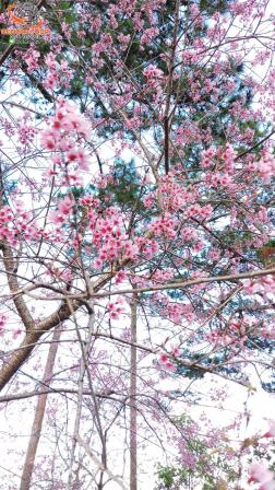 ทัวร์เวียดนาม 