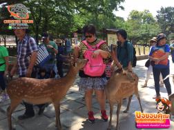 ทัวร์ญี่ปุ่น 