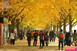 ทัวร์เกาหลี 