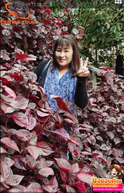 ทัวร์เวียดนาม 