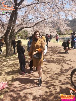 ทัวร์ญี่ปุ่น 