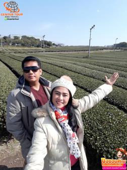 ทัวร์เกาหลี 