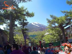 ทัวร์ญี่ปุ่น 