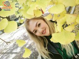 ทัวร์ญี่ปุ่น 