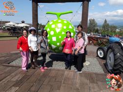 ทัวร์ญี่ปุ่น 