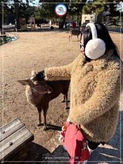 ทัวร์ญี่ปุ่น 