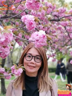 ทัวร์ญี่ปุ่น 